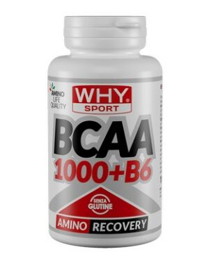 BCAA 1000 + B6 100 cpr