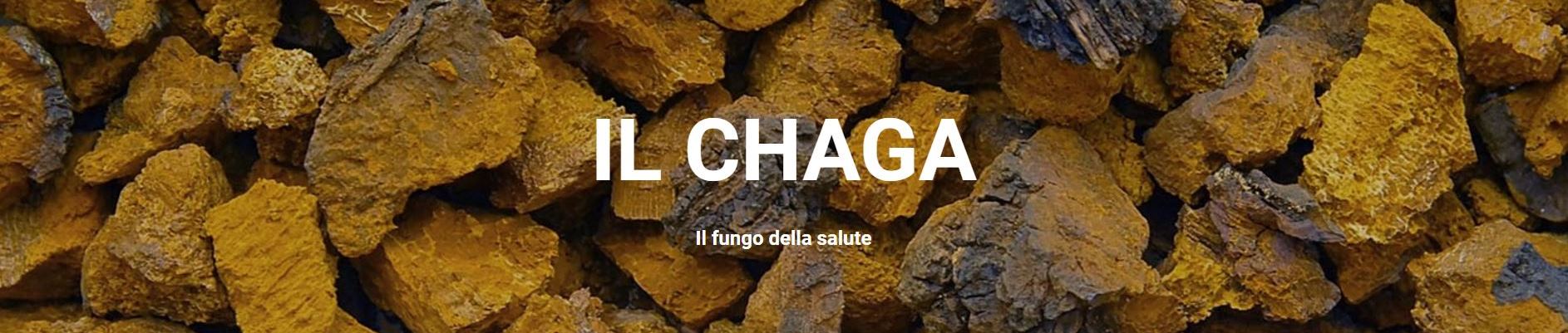 Al momento stai visualizzando Il chaga: un fungo terapeutico conosciuto e utilizzato dai popoli siberiani da tempi remoti