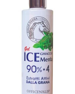 Ice Ghiaccio Officinalis gel 90%  250 ml Menta