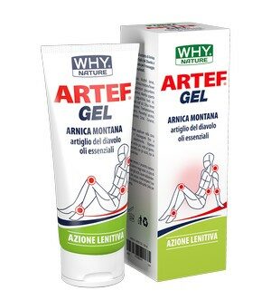 ARTEF GEL 100 ml – WHY NATURE