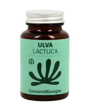 Ulva Lactuca 180 cpr